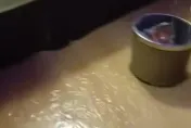 影/是摩鐵還水濂洞？房內「下起瀑布」垃圾桶都不夠接　他怒：睡到一半漏水