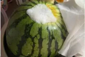 好市多西瓜竟「口吐白沫」！內行人曝：會爆炸超臭　吃了小心敗血症找上門