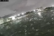 7.2強震撼全台/強震早有預兆？台南虱目魚群突「暴動亂跳」　震撼畫面曝