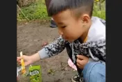 驚！6歲男童掃墓在墳前「吃爺爺供品」引論戰　網挺：這是家宴