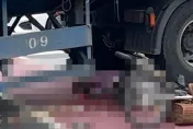 快訊/慘遭聯結車捲入輪下！土城驚見女子遭撞死　疑買午餐遇劫