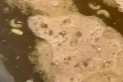 滿滿高蛋白！火鍋吃到一半驚見「20隻蛆」漂湯面　自嘲：是蛆蛆鍋