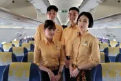 想飛快看！台灣虎航徵空服員、機師　不限科系、起薪7萬元