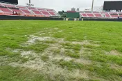 聯盟現地勘查！草皮生長狀況仍不佳　桃園球場4/16、17賽事延期