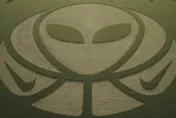 影/驚見神秘麥田圈！答案曝光　原來是文班亞馬專屬的NIKE LOGO