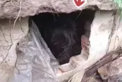 影/早起運動驚見「墳墓裡有活人」！歐吉桑嚇壞急報案　意外助警逮通緝犯