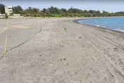 影/高雄旗津沙灘又出現不明油汙！海洋局：初步了解是重油汙染
