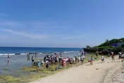 小琉球推「30守則」！全島限速30公里、觸摸海龜重罰30萬