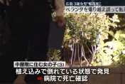 3歲女童獨自在家翻陽台...從20多層樓墜下身亡　鄰居見驚恐一幕報警