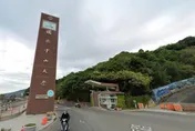 中山大學校園驚見巨型綠鬣蜥！　學生戲稱「生態公園」