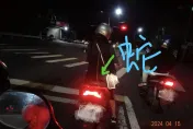 淡水女騎士背後掛「1米長蛇」！搖頭晃腦超嚇人　目擊民眾不敢說…下場曝