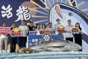 總價、單價都創歷史新高！屏東「第一鮪」重達301.8公斤　逾310萬賣出