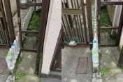 日本住宅門縫放滿礦泉水瓶！　釣出專業網友解釋：避免野貓靠近