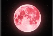 今晚7時22分！奇景「粉紅月亮」現身馬來西亞