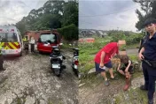 淡水8旬婦採竹筍未歸　警消搜山急救援…幸僅輕微脫水