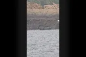 大陸漁民登上馬祖高登島附近無人礁　海巡急協處交檢方查辦中