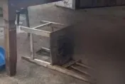 巴西警察家中離奇身亡！6寵物犬「太飢餓」啃食遺體　警方登門「只剩骨架」