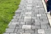 花蓮規模6.1地震有預兆？她前晚目睹「蟲蟲大軍+群鳥飛走」　網朝聖：真的震了