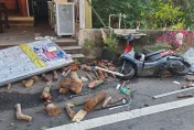 影/詭！彰化貨車「下坡衝撞有應媽祠」駕駛爆頭亡　3年已3起車禍