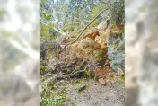 慘淪孤島…花蓮強震震垮聯外道路！大禮部落求援：族人無法上山勘災