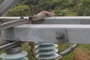桃園「1天停電3次」！楊梅4543戶受影響　台電：蛇類碰觸電纜線