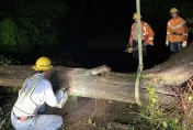 雷雨狂炸！小金門逾300戶停電　台電拚今晚復電