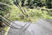 快訊/倒樹壓斷電桿！桃園「2天內4度停電」　復興區4690戶瞬間黑