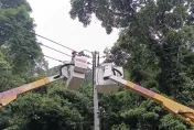快訊/樹木壓斷電桿釀災！桃園復興4690戶停電　台電：已全數復電