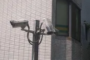 影/想幹嘛？北市文山區驚見「鏡頭君殺手」　噴漆毀7支5小時遭逮