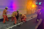 藏身緊急出口！國3中寮隧道驚見「黑豬遊蕩」　掉落這麼大隻…警要罰車主