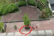 快訊/台電出事了！北市營業處女員工12樓頂墜下　當場摔死在花圃