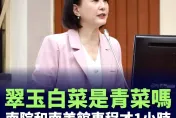 「翠玉白菜當成青菜」被故宮出借台南美術館、林佳龍台中花博…王鴻薇開砲了