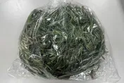 快訊／「食代嚴選」出包！3款蔬菜檢出農藥超標　迷迭香含高達「19種農藥」