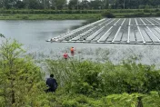 嘉縣中埔公館滯洪池疑鱷魚出沒 縣府籲民眾勿近
