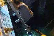 快訊/母親節前夕險出人命！高雄人妻喝茫疑想媽墜湖　老公急奔醫院