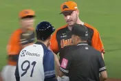 影/偷暗號爭議！獅隊洋投直言嚴宏鈞低頭看不恰當「捕手應有同感」