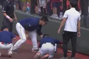 影/桃園棒球場「蛇」出沒！比賽中斷　網笑：寵物主題日不是今天喔
