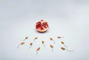 合格者僅2成！陸人類精子庫捐精者條件曝　不支持單身女性生育