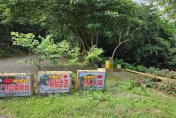 泰籍女遭殺害棄屍大武崙！女兇嫌下毒手動機曝光　疑「名貴金飾」惹殺機