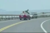 新北消防勘災車逆向撞山壁　消防員受傷車禍原因曝光