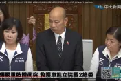 立院521恐再上演國際笑話　黃揚明提4點建議「不用跟綠營比拳頭」