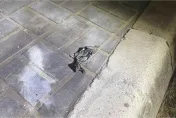 北屯夜炸街頭嫌犯抓到了　2高中屁孩「爆竹放塑膠罐」稱：周六晚上無聊