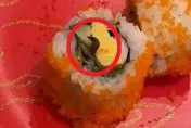 影/快訊/日本壽司連鎖店驚見「活蛞蝓壽司」！北市衛生局揪「2衛生缺失」！
