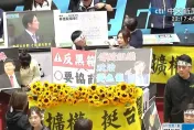 不滿學運夥伴攜手藍營認遭背叛　吳沛憶朝「這人」怒擲太陽花險砸中