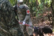 墨西哥熱浪47度恐怖高溫　當地象徵性動物「吼猴」疑中暑大量死亡