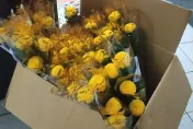 影/冒充記者混入立委研究室！抗議男女竟送藍委菊花　還要求點名投票