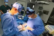 醫學新突破！全球首例豬肝成功移植到人類活體　71歲肝癌病患恢復良好