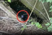 快訊/上個廁所竟丟命！台南阿北跌落5公尺深溪溝　慘遭溺斃