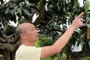 蓄積能量再出發！韓國瑜周末和家人「出外森呼吸」