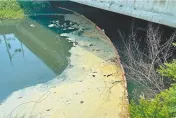 高雄鳳山溪成惡臭「黑龍江」！不肖業者偷排廢水漂魚屍